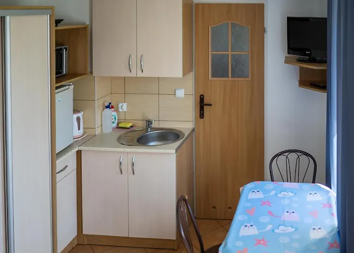 Bonus Salus Wynajem Pokoi