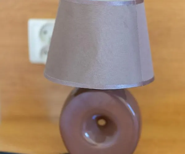 Bonus Salus Wynajem Pokoi *